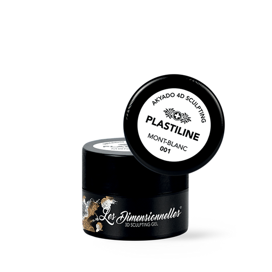 Plastiline 4D 001 Mont-Blanc