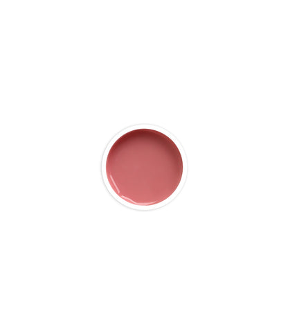 Acrygel Combi Clear 100GR- P1658
