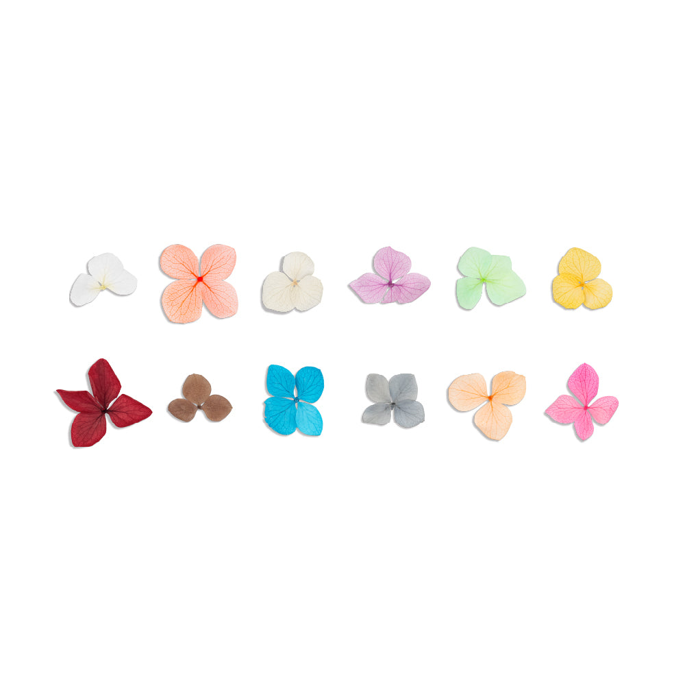 FLEURS SÉCHÉES POUR ONGLES INOCOS NATURA LOVERS WINE EDITION